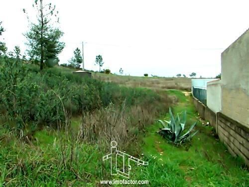 Land with 2282sqm Castelo Branco