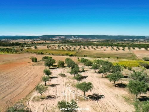 Terreno Agrícola com 33700m2 Perais Vila Velha de Ródão - oliveiras, poço, água, painéis solares, árvores de fruto, vista serra