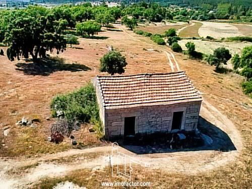 усадьба с домом V0 Aldeia de Santa Margarida Idanha-a-Nova - вода, электричество, сарай, колодец, фруктовые деревья, sobreiros