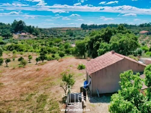 Farm Castelo Branco - fireplace, cork oaks, tank, electricity, orange trees, well, water, haystack, garden, fruit trees, store room