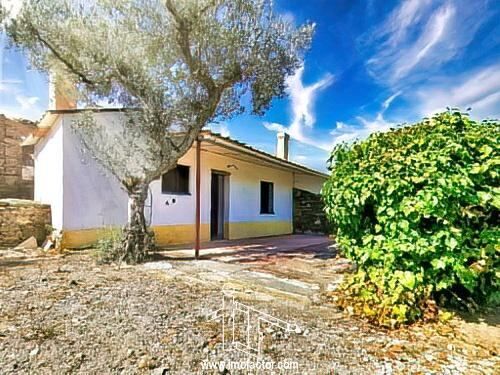 House V3 Benquerenças Castelo Branco - attic, mountain view, store room, green areas, backyard, automatic gate, garden, fireplace