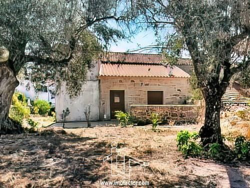 Farm V3 with house Aldeia do Bispo Penamacor - store room, fireplace, fruit trees, double glazing, green areas, olive trees, electricity, electricity, playground, garden, tank, cork oaks, mains water, water, attic, terrace