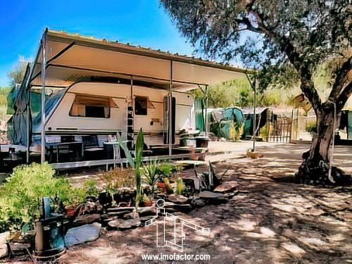 Farm Salgueiro do Campo Castelo Branco - water, green areas, fruit trees, garden, olive trees, great location, well