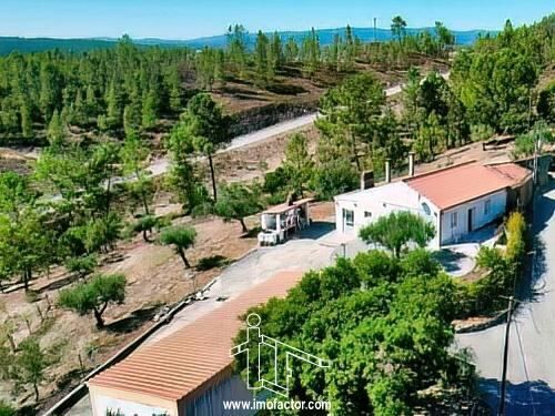 Farm 3 bedrooms Fratel Vila Velha de Ródão - garage, barbecue, garden, equipped, mains water, electricity, fruit trees, mountain view, store room, kitchen, electricity, cork oaks, orange trees, fireplace, backyard, well, water