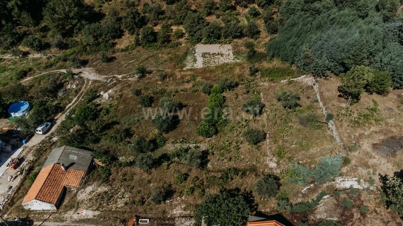 Land Agricultural with 2692sqm Teixoso Covilhã - water, olive trees, well