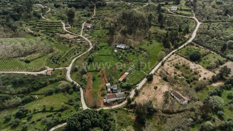 Farm V2 Peraboa Covilhã - irrigated land, well, water, attic, fruit trees