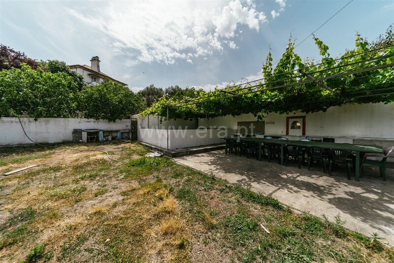 Farm V0 Boidobra Covilhã - well, tank, olive trees, fruit trees, water hole