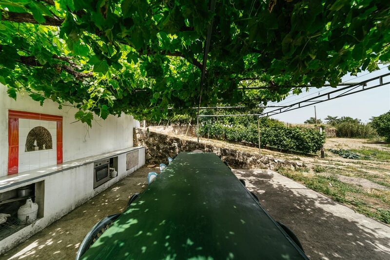 Farm V0 Boidobra Covilhã - well, tank, olive trees, fruit trees, water hole