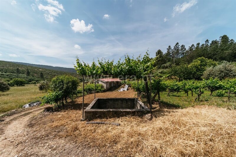 усадьба V0 Serra da Estrela Cortes do Meio Covilhã - фруктовые деревья, вода