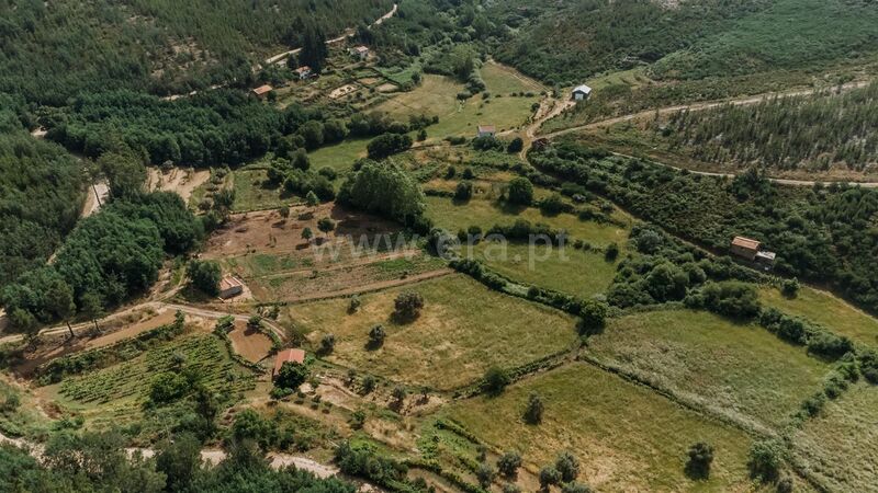 Quinta V0 Serra da Estrela Cortes do Meio Covilhã - árvores de fruto, água