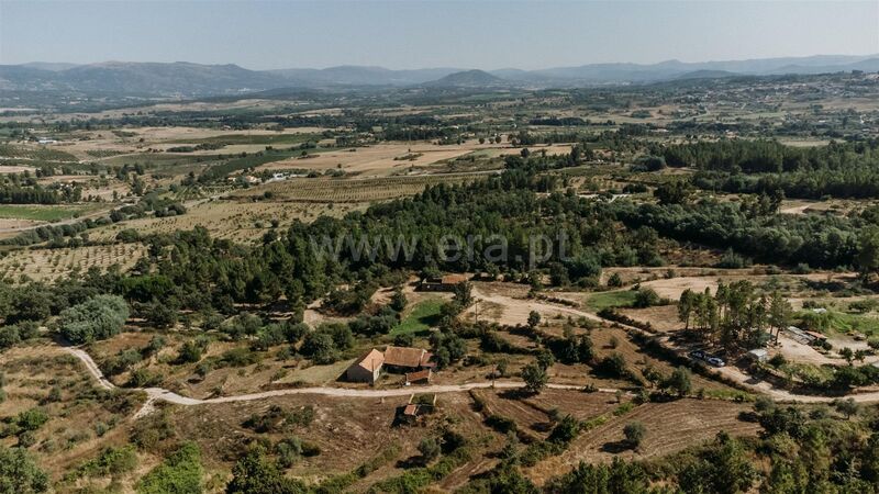 Farm to recover V3 Peraboa Covilhã - water, well, olive trees, fruit trees