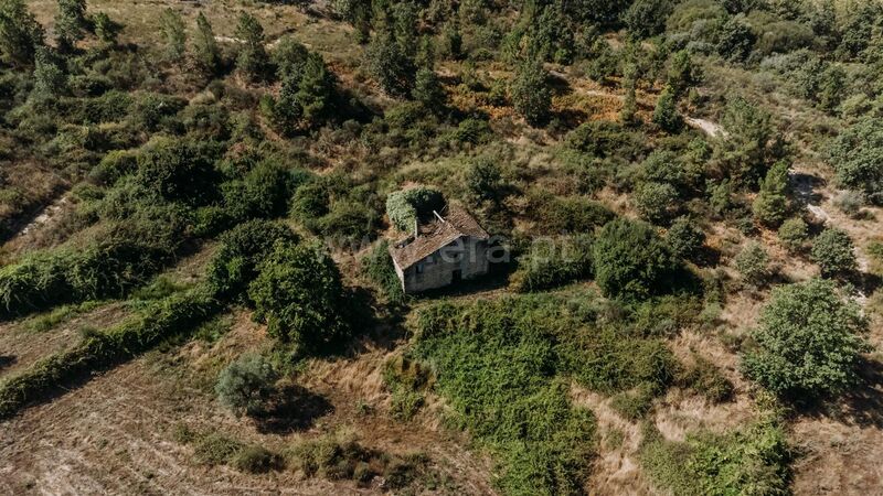 Quinta V3 para recuperar Peraboa Covilhã - oliveiras, árvores de fruto, água, poço