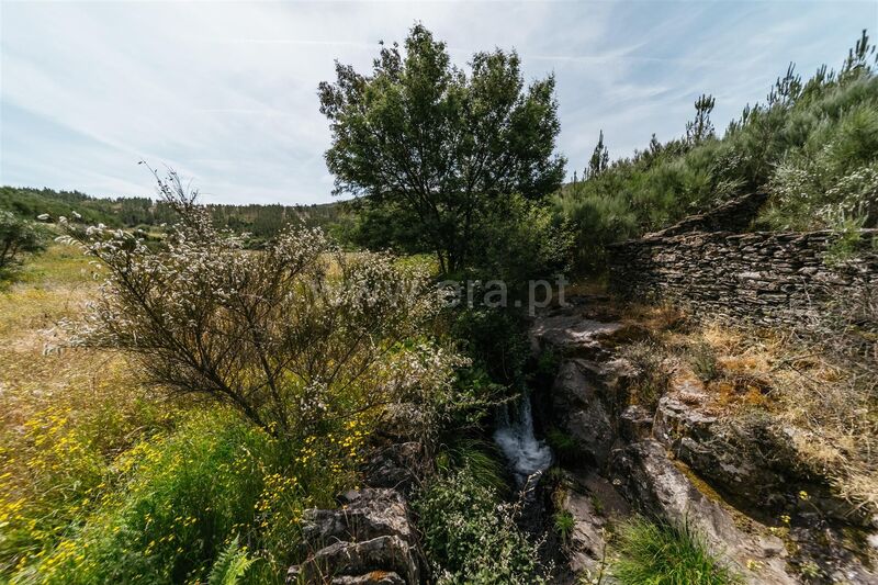 усадьба V0 Serra da Estrela Cortes do Meio Covilhã