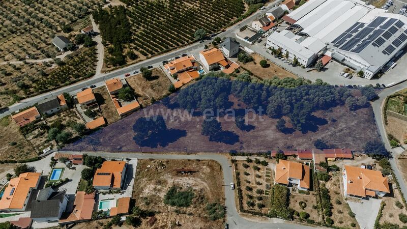 Terreno Urbano com 9252m2 Colmeal da Torre Belmonte - água, electricidade