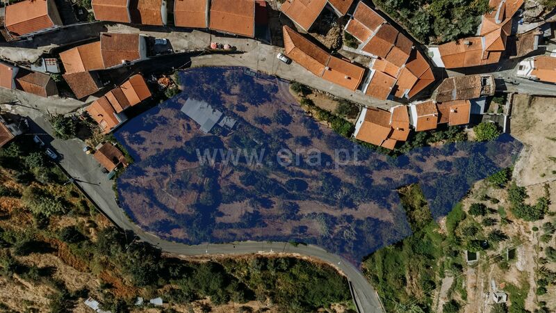 Quinta/Herdade V0 Tortosendo Covilhã - oliveiras, árvores de fruto