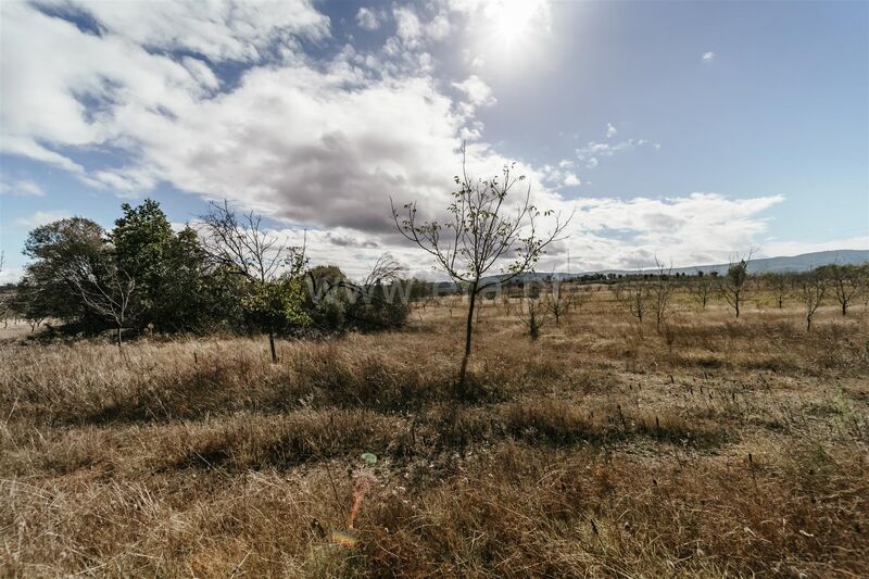 Farm V0 Valverde Alcaria Fundão - excellent access, irrigated land