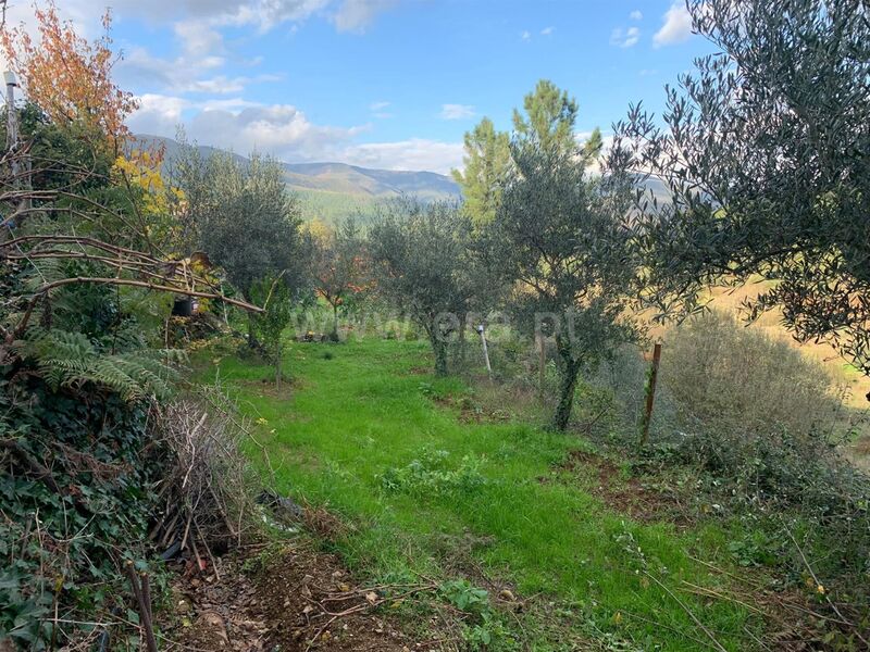 Small farm 1 bedrooms Serra da Estrela Verdelhos Covilhã - water, solar panels, solar panels, electricity, store room, equipped