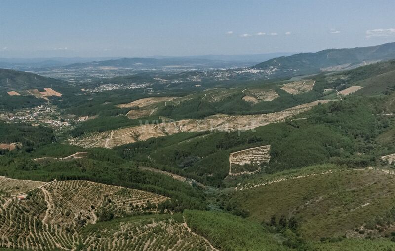 Chácara/Sítio/Fazenda V0 Castelejo Fundão - água