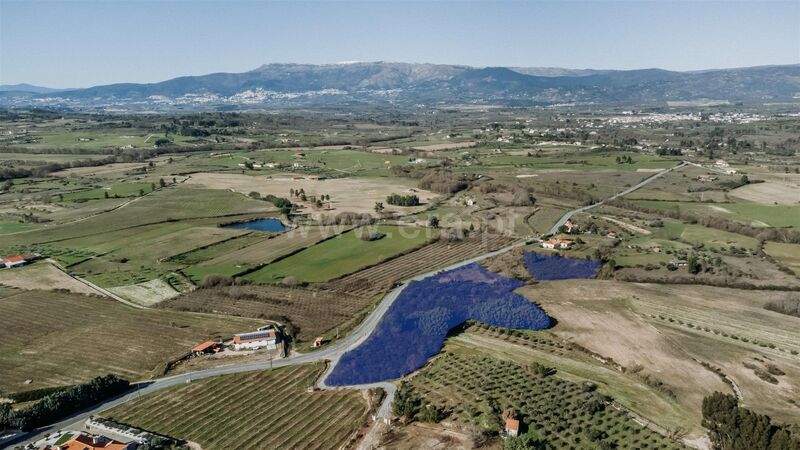 Terreno Agrícola com 17870m2 Monte do Bispo Caria Belmonte - electricidade