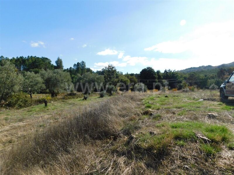 Land Agricultural with 6590sqm Quintas da Torre Fundão - water