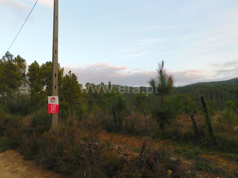 Land with 7000sqm Silvares Fundão - easy access, water, construction viability, electricity, water hole