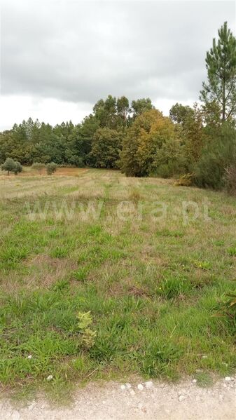 Land with 3300sqm Enxames Fundão - water, irrigated land, easy access