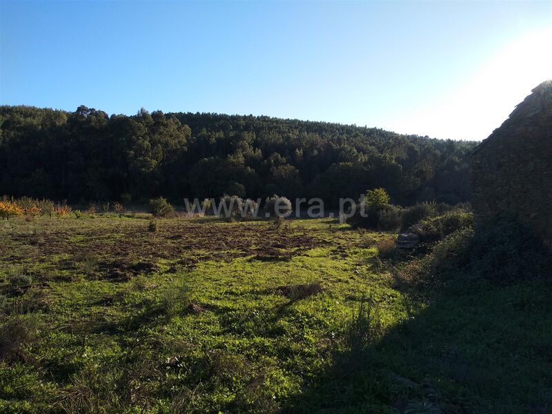 Land with 10000sqm Enxames Fundão - water, olive trees, irrigated land