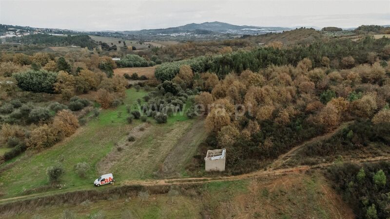 Quinta/Herdade V1 Pesinho Alcaria Fundão - árvores de fruto, viabilidade de construção