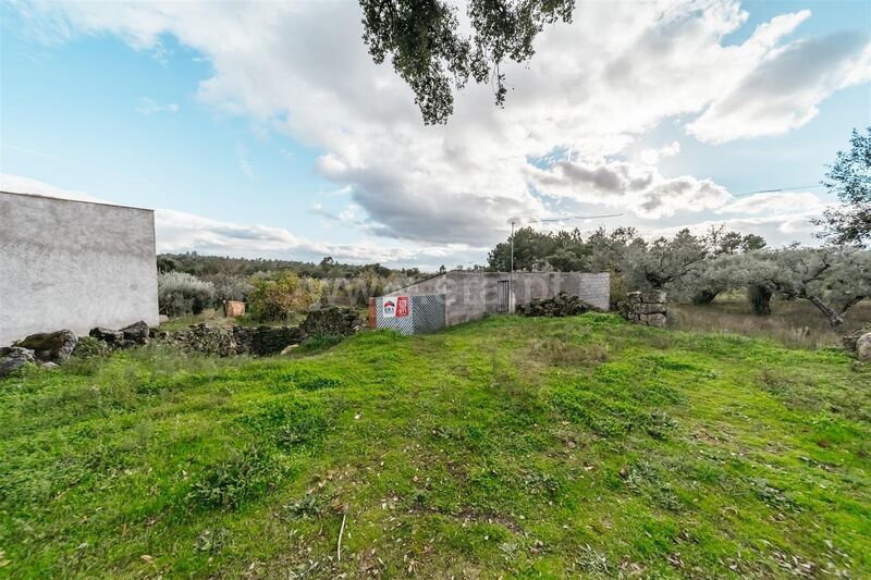 Small farm V0 Alpedrinha Fundão - olive trees, tank, water, fruit trees, construction viability, well