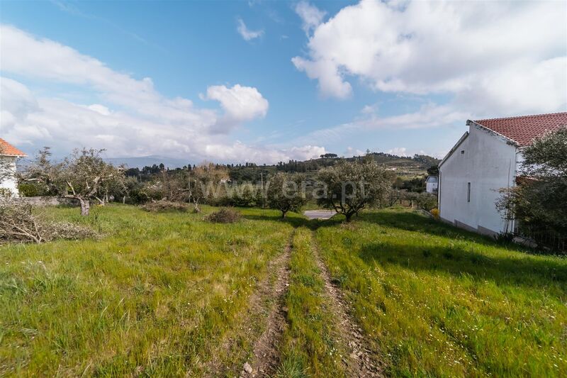 Land Agricultural with 16000sqm Alcaria Fundão
