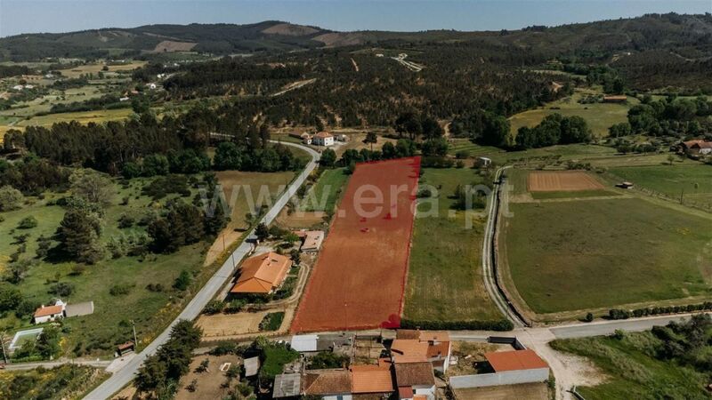 Terreno Agrícola com 7350m2 Enxames Fundão - poço, viabilidade de construção, água, oliveiras, cultura arvense