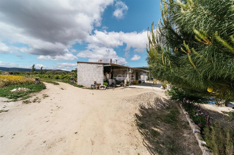 Small farm V0 Alpedrinha Fundão - fruit trees, well, water hole, water