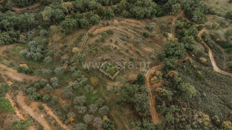 Land with 40000sqm Telhado Fundão - , ,