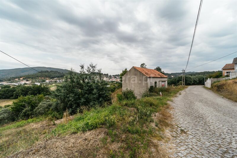 Small farm V3 Castelejo Fundão - arable crop, fruit trees