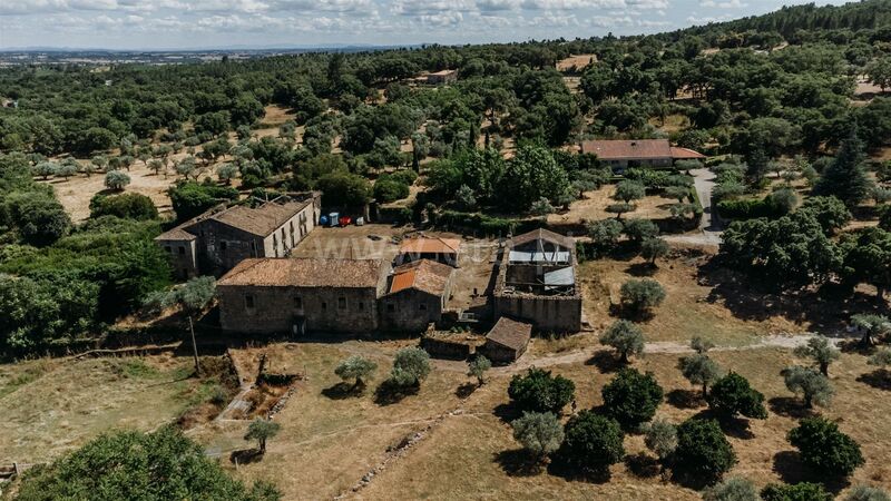 Homestead with house Castelo Novo Fundão - garden, water hole, fruit trees, water, tank, haystack, garage