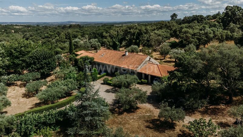 Herdade V3 Castelo Novo Fundão - jardim, furo, árvores de fruto, água, tanque, palheiro, garagem