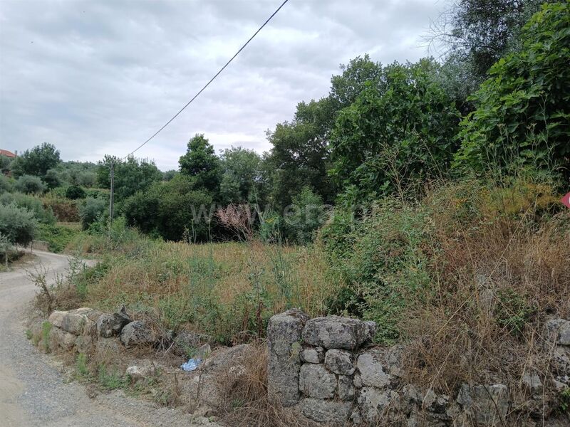 Terreno com 1300m2 Atalaia do Campo Fundão - oliveiras, cultura arvense, árvores de fruto