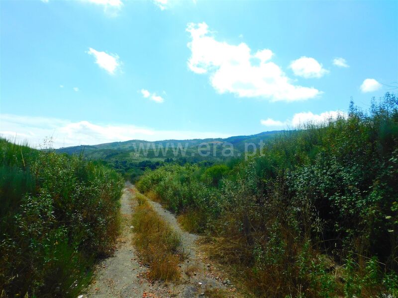 Quintinha V0 Barco Covilhã - água, poço