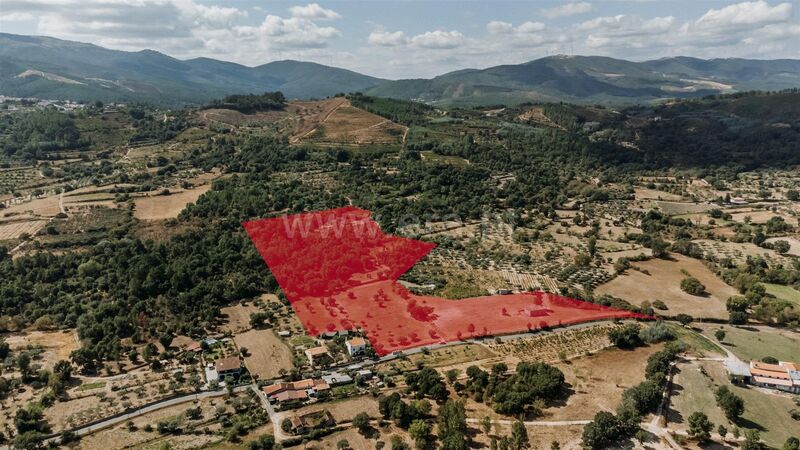 Farm V0 Freixial Telhado Fundão - shed, water, construction viability, cork oaks, mains water, electricity, arable crop