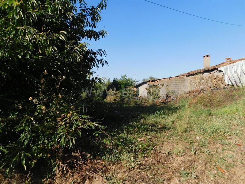 Farm Alcaide Fundão - haystack, fruit trees