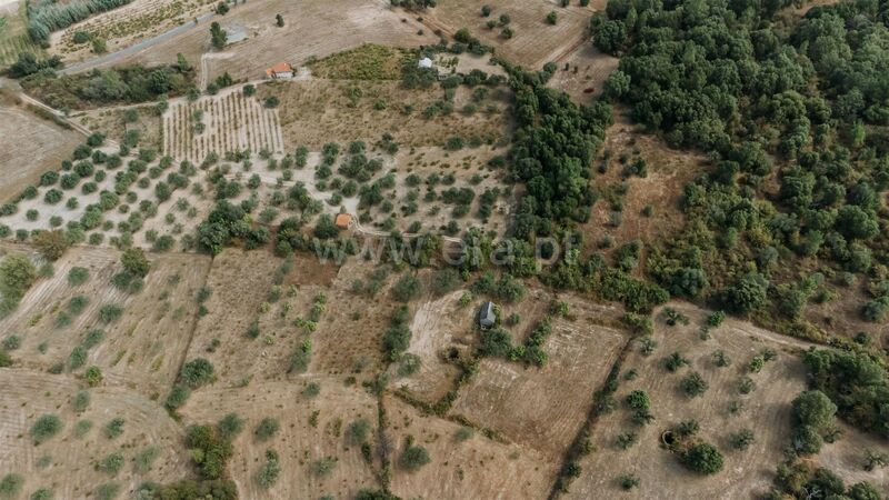 Land Telhado Fundão - ,