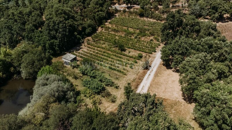 Quintinha V0 Aldeia Nova Fundão - viabilidade de construção, água de furo