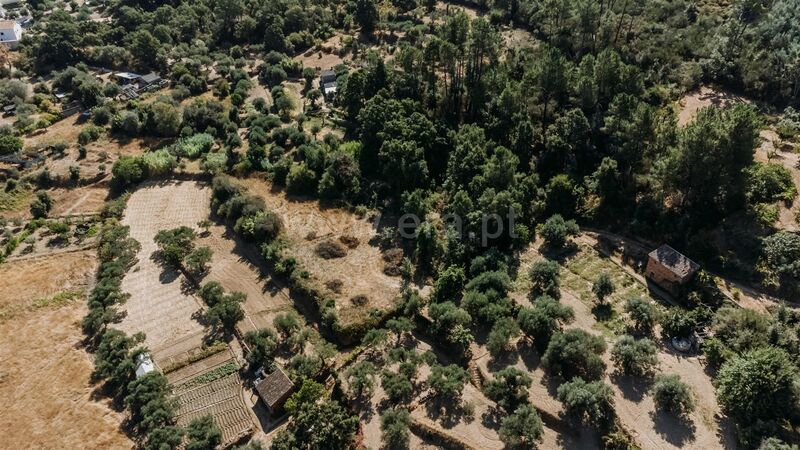 Land with 3131sqm Freixial Telhado Fundão - construction viability, water, well