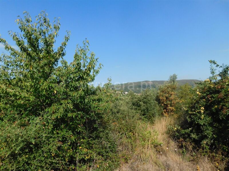 Land with 7500sqm Freixial Telhado Fundão