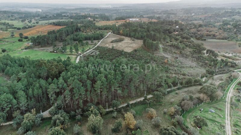 Land with 5100sqm Monte Leal Fundão - electricity