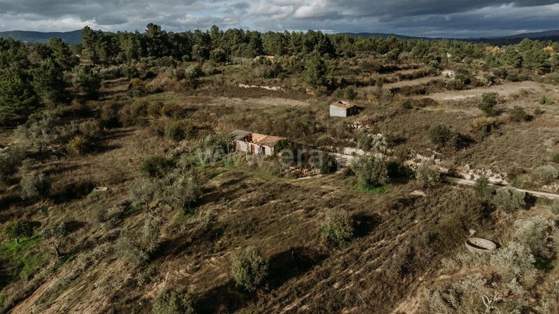 Farm V0 Orca Fundão - well, olive trees, fruit trees, water, shed, tank