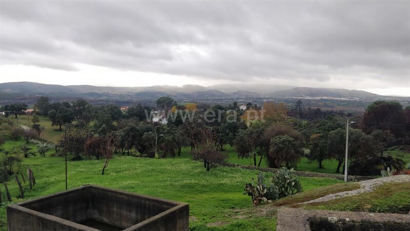 Land with 10000sqm Pêro Viseu Fundão