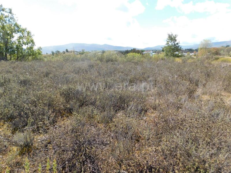 Terreno com 1900m2 Alcaria Fundão - bons acessos