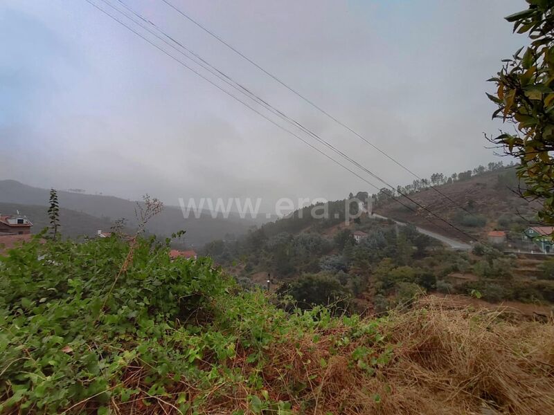 Terreno Rústico com 130000m2 Aldeia de São Francisco de Assis Covilhã - oliveiras