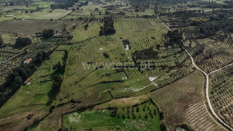 Herdade V1 Atalaia do Campo Fundão - poço, água, tanque, excelentes acessos, viabilidade de construção